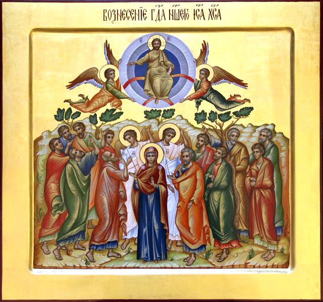 p1akig2up4ek51n051vnq1qt11rni3.jpg